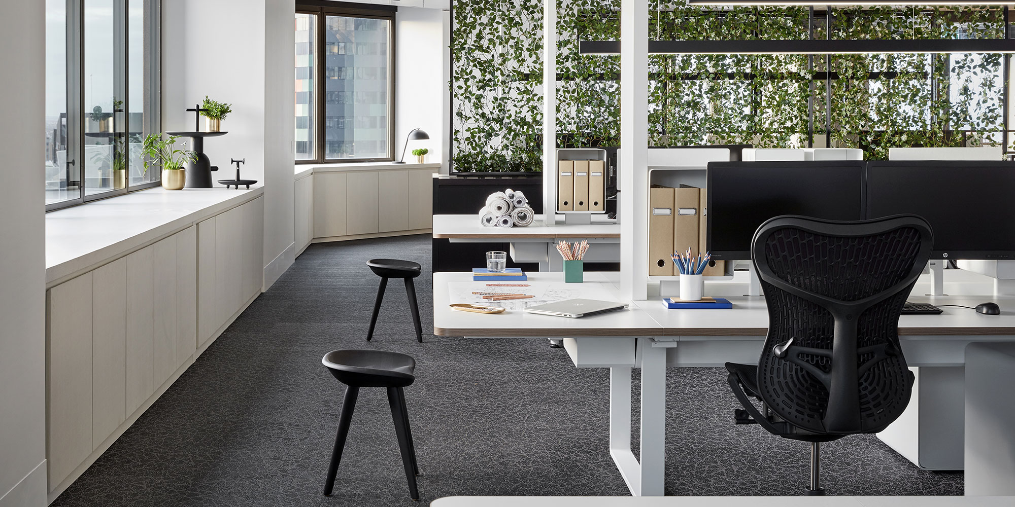 head of project office head of project office